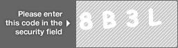 captcha code for visual authentication  number 8 letter B number 3 letter L