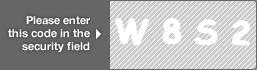 captcha code for visual authentication  letter W number 8 letter S number 2