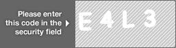 captcha code for visual authentication  letter E number 4 letter L number 3